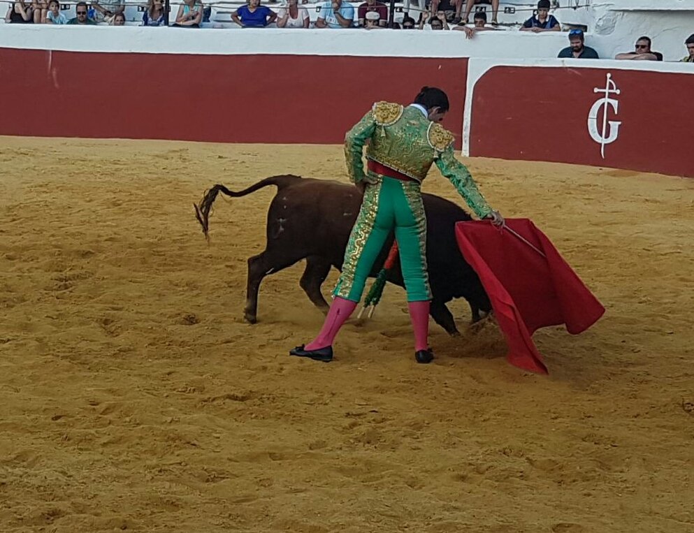 Esc. Taurina Huelva tweet media