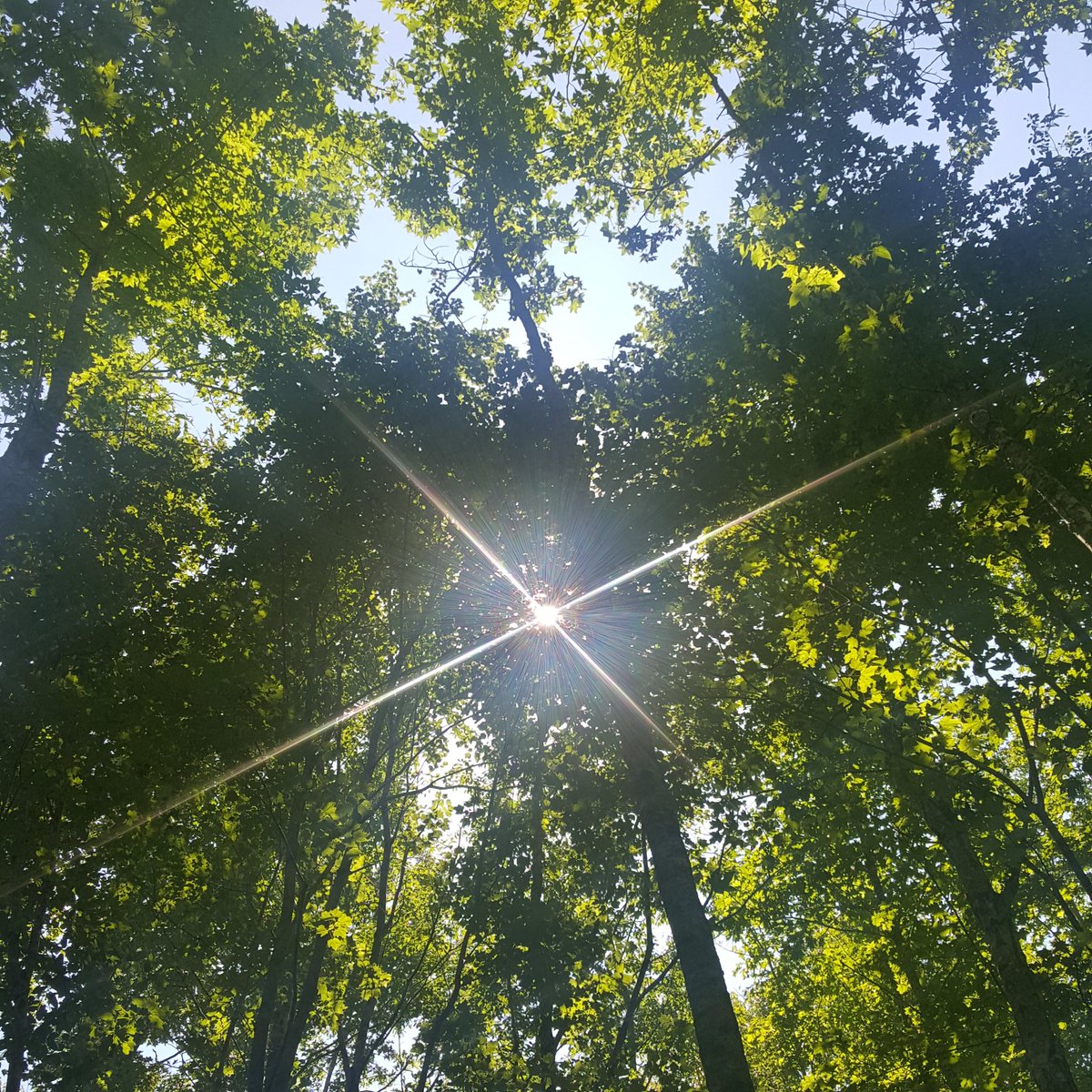 caregagen's tweet photo. #tennessee #ourproperty https://t.co/DPkUPTfoxI