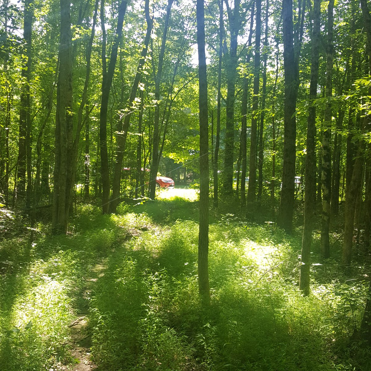 caregagen's tweet photo. #tennessee #ourproperty https://t.co/DPkUPTfoxI