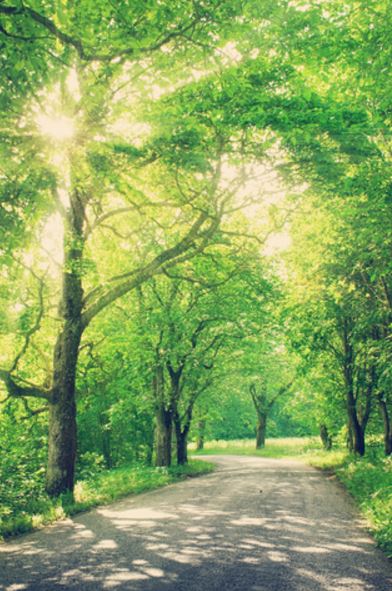 10 Summertime Actions for Your #SmallBusiness, from business systems to #marketing strategies barbaraweltman.com/10-summertime-…