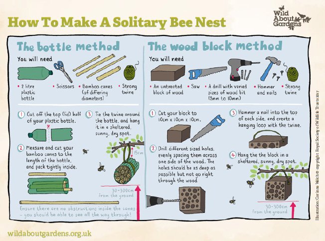 CricklepitMill's tweet photo. A wet day like this isn't so good for our bees, but there's still lots you can do to help them! #WildAboutGardens #wildbee #BeeNeeds https://t.co/2J0HCzaJEy