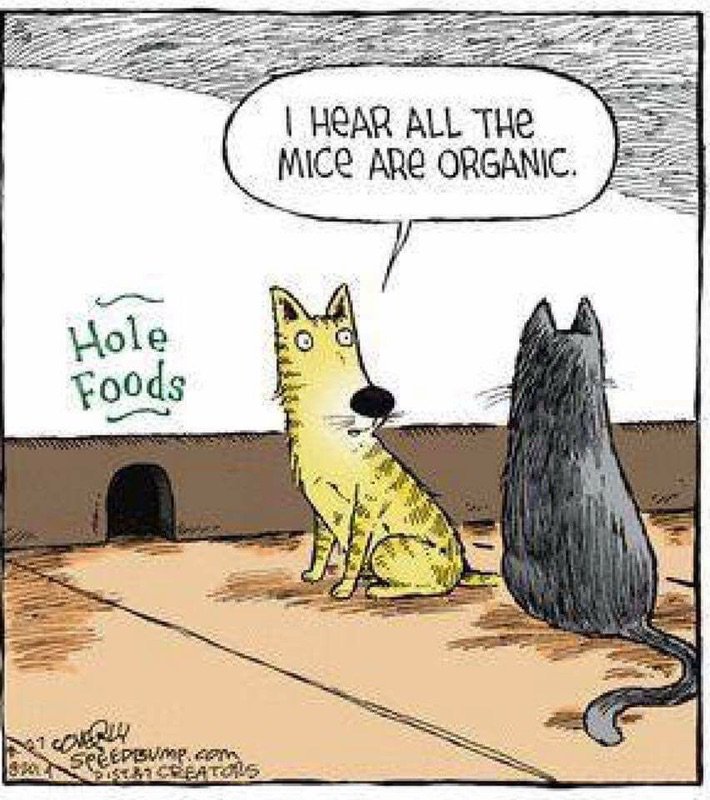 Brett W. tweet media