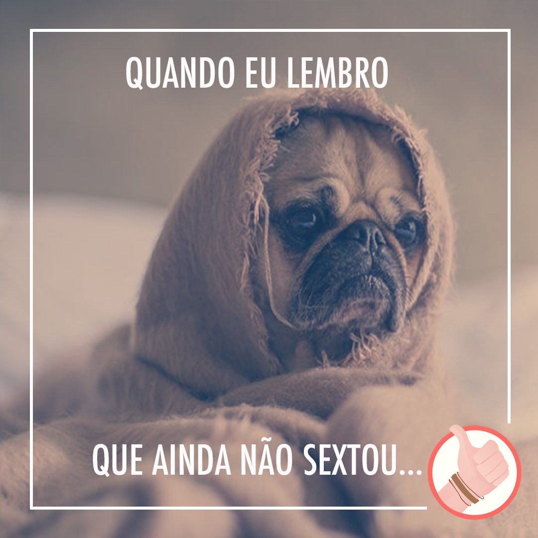 Boralá?! tweet media