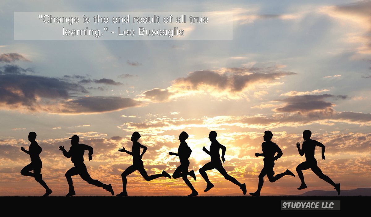 StudyAce's tweet image. Be the person that creates the change!