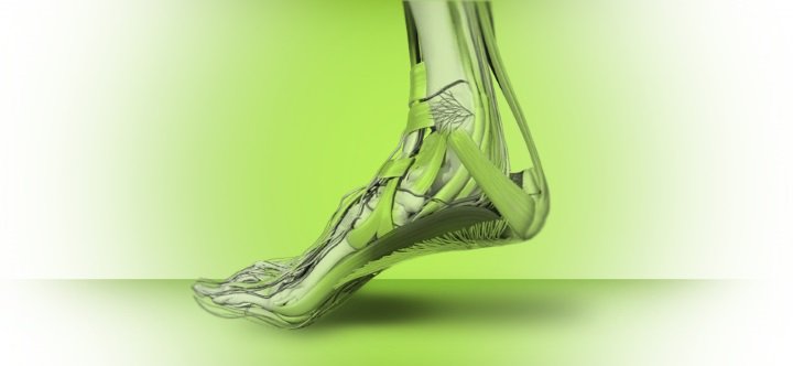 SourceNation's tweet photo. Superfeet Insoles: Protect your feet from hard fields and rough grounds. https://t.co/l2gUcb83B9 https://t.co/yAE7SFpp0d