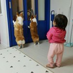 赤ちゃんと犬が仲良しすぎる!可愛い後ろ姿に胸キュン間違いなし!