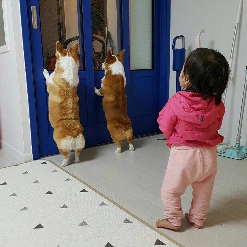 赤ちゃんと犬が仲良しすぎる！可愛い後ろ姿に胸キュン間違いなし！