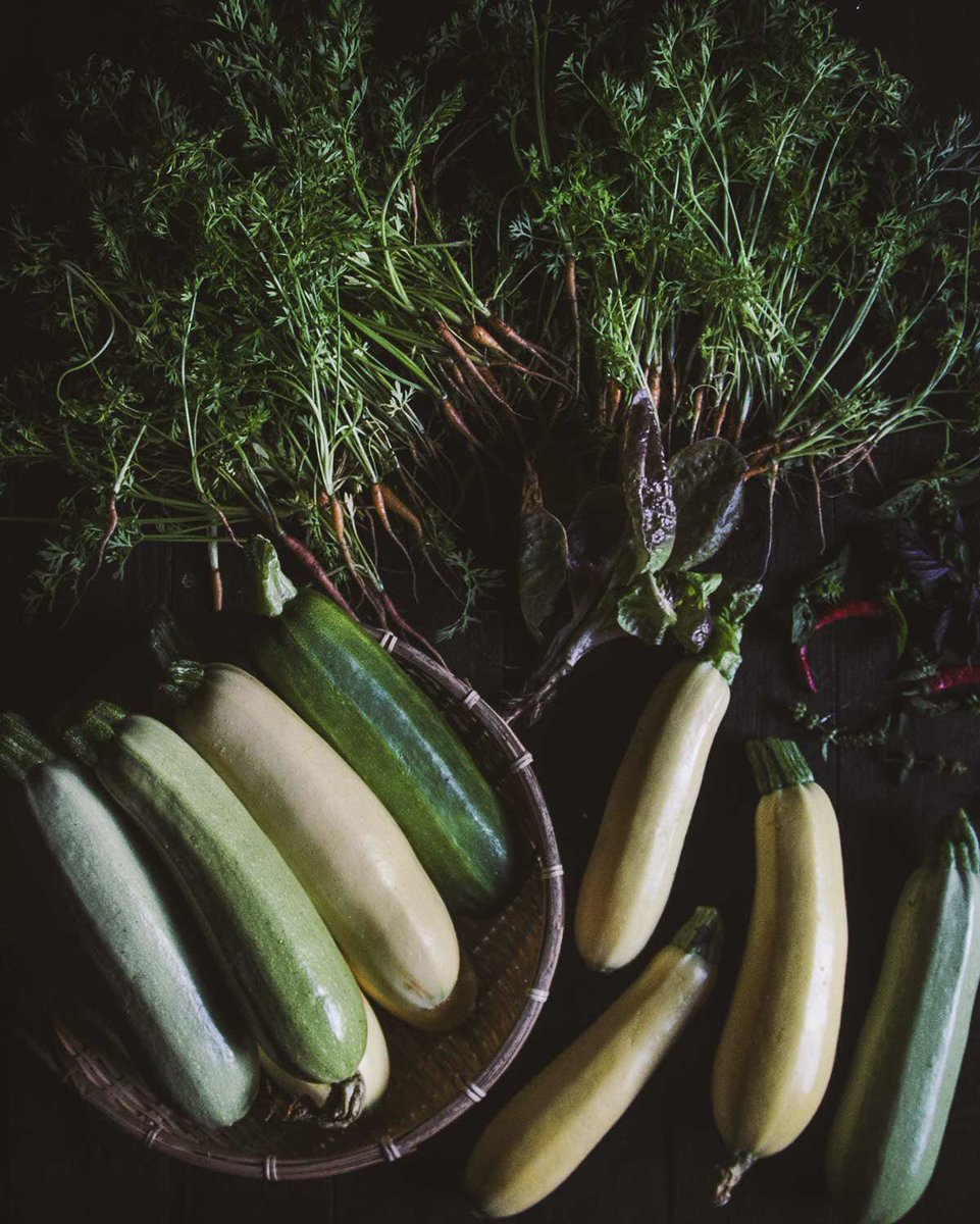stripyoctopus's tweet image. Thinning, pruning, weeding, and harvesting are what I do nowadays. #backyardshenanigans #farmlife