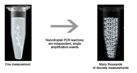 DrMisialek's tweet photo. Benefits of Using Droplet Digital PCR for Measuring Immunotherapy Response https://t.co/ZfCjogpaM3 @BioRadLifeSci @ASCO @Pathologists https://t.co/oKo1vZVQXM