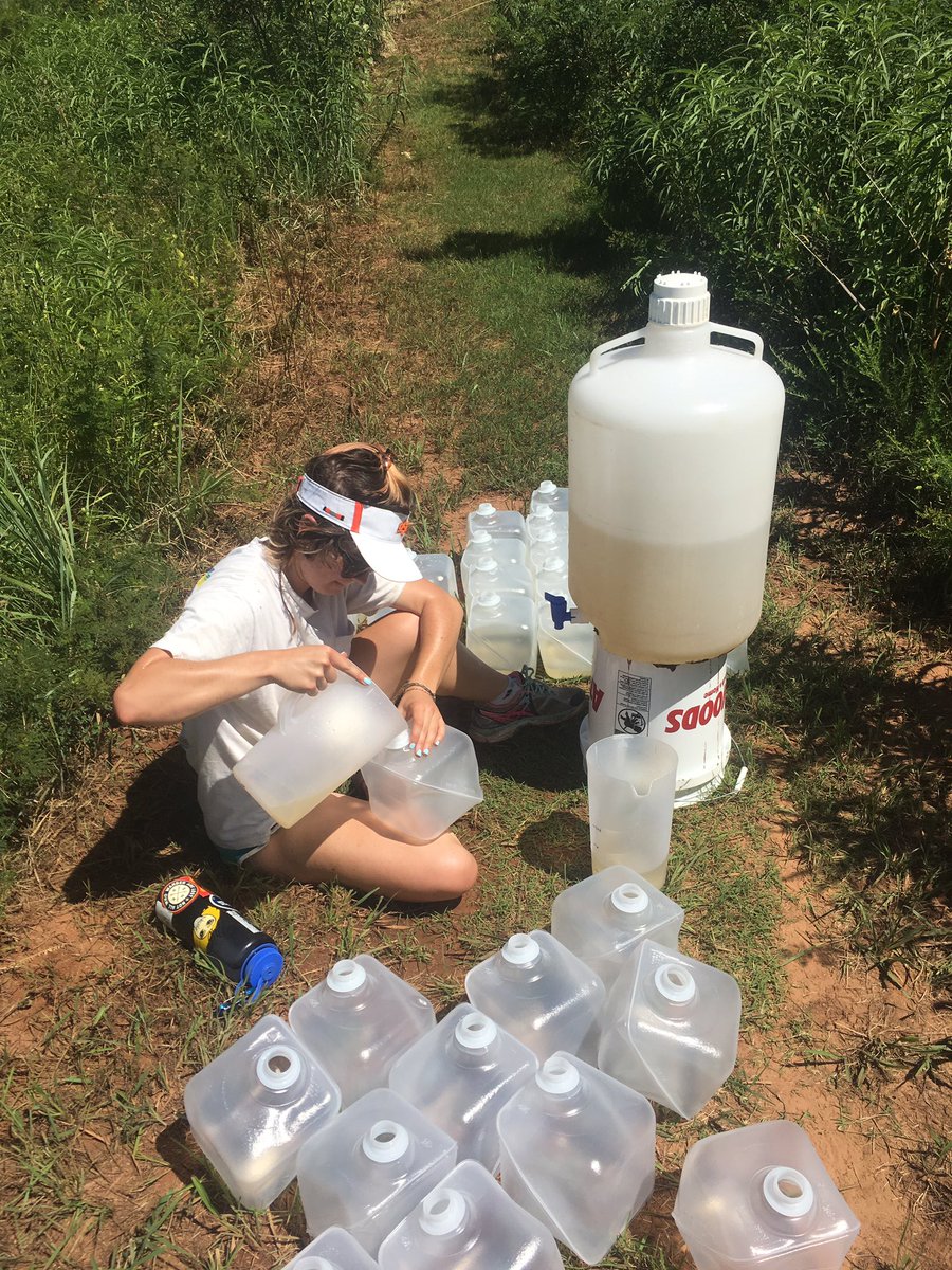 maggiej0hns0n's tweet photo. Let the algae grow! Cubitainers in the wetland - Fe, P &amp; N treatments have been added and now we wait. @NSF #REUStreamTeam @OSU_Research https://t.co/nSLVhhElbE