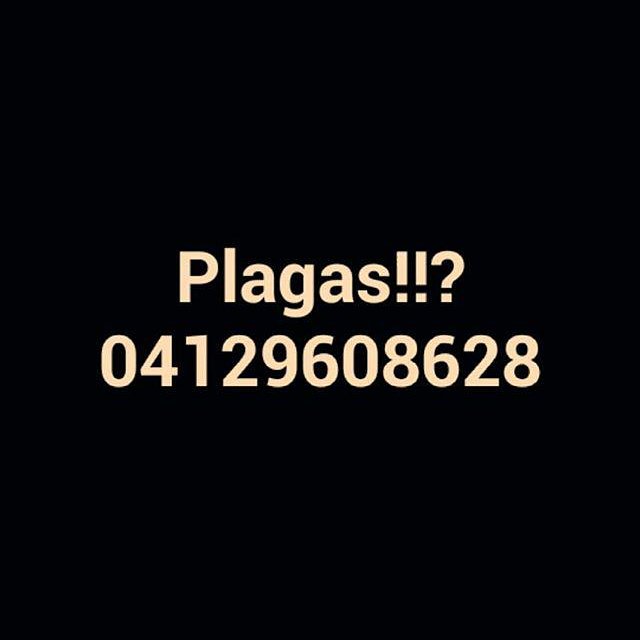 solmultifast's tweet image. Con las alimañas tenemos Cero Tolerancia... Llamanos 04129608628