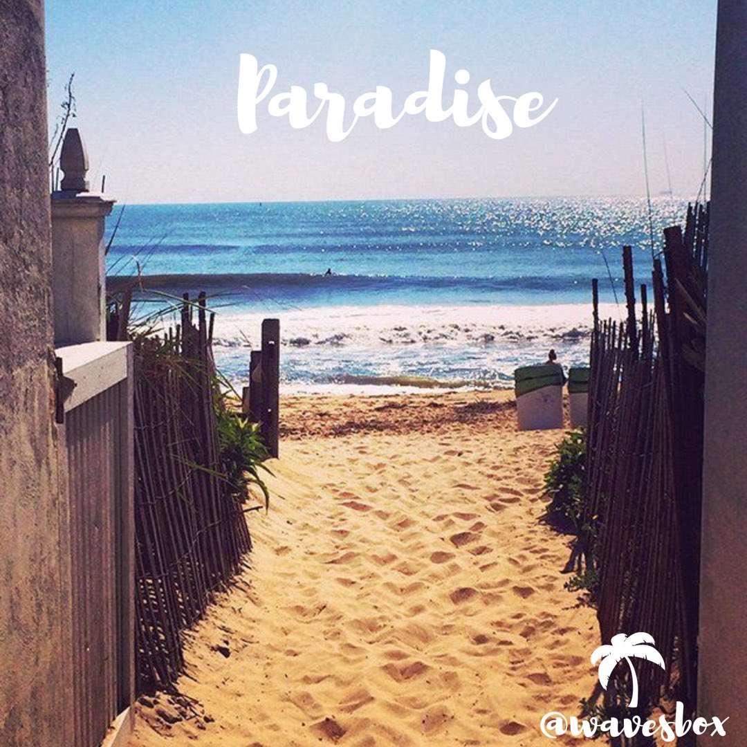 wavesbox's tweet photo. Good afternoon summer fam πΈ lets work as hard as we can to make our dreams come true β¨π΄ #wavesbox #beach #miami #paradise https://t.co/5EGK1Mfqxr