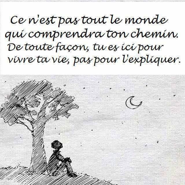 Fernando Alonso tweet media