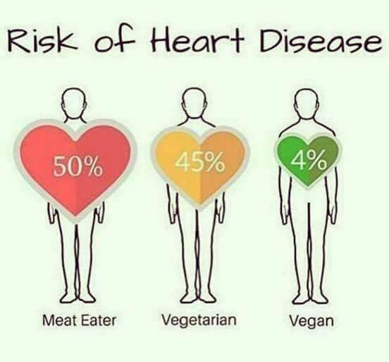 #Heart #MeatEater #vegetarian #Vegan #Eat#Healthy #HeartAttack #AnimalsKickAss #allanimalsareawsome #animalsWantToLive #Stroke #Death #Plant