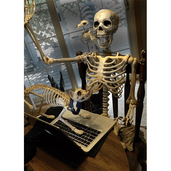 crazybonezskele's tweet photo. Raise your hand if you're blowing your last 3 paychecks on Amazon! #AmazonPrimeDay #PrimeDay #Amazon #shopping #stuffidontneed #CrazyBonez https://t.co/fj5D9IHMjz