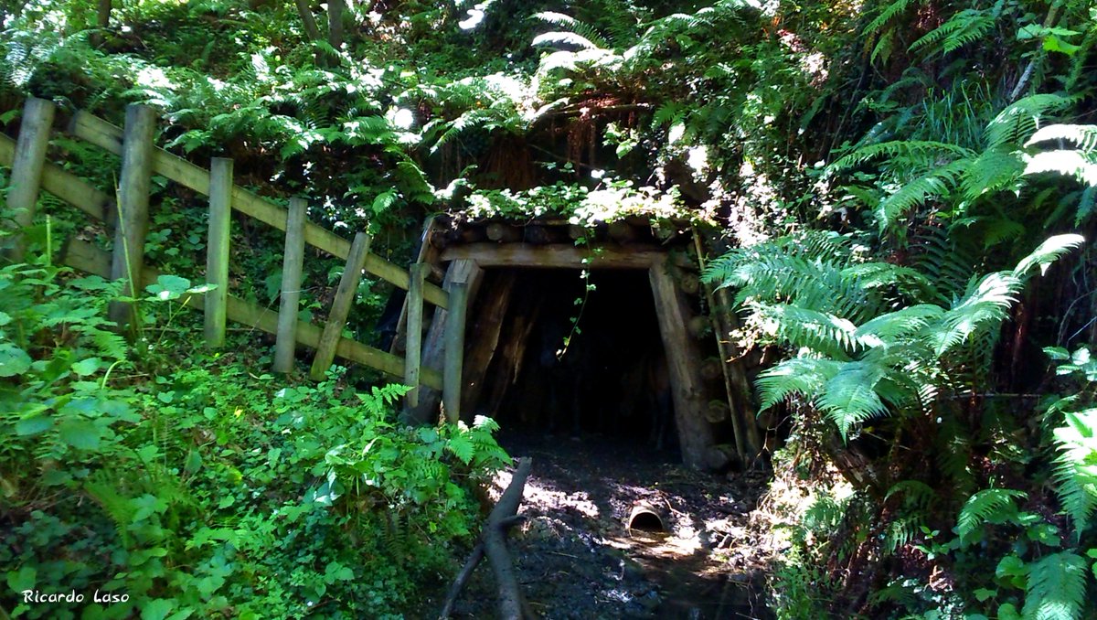 Ricardo_Laso's tweet image. #MINA #MOSQUIL / #TURON #MIERES - #ASTURIAS
Grupo #Urbiés, Mina de #montaña, se explota a comienzo años 40 siglo XX por #Hulleras de Turón