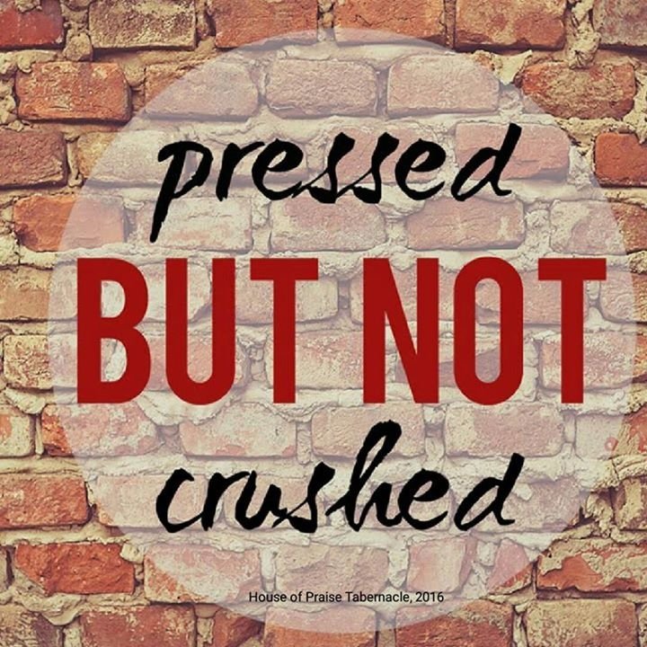 SarahLungile's tweet photo. Life is a Journey so choose your path wisely...and live it without regrets. https://t.co/ScJhCTa3UC