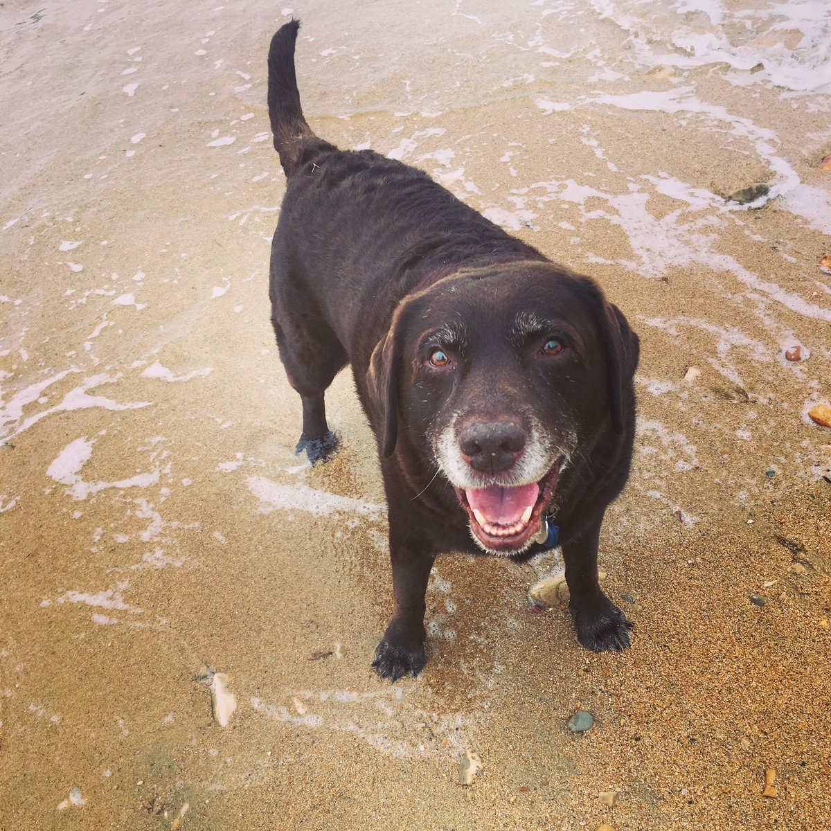 B feeling happy when he was on his holiday❤️❤️❤️