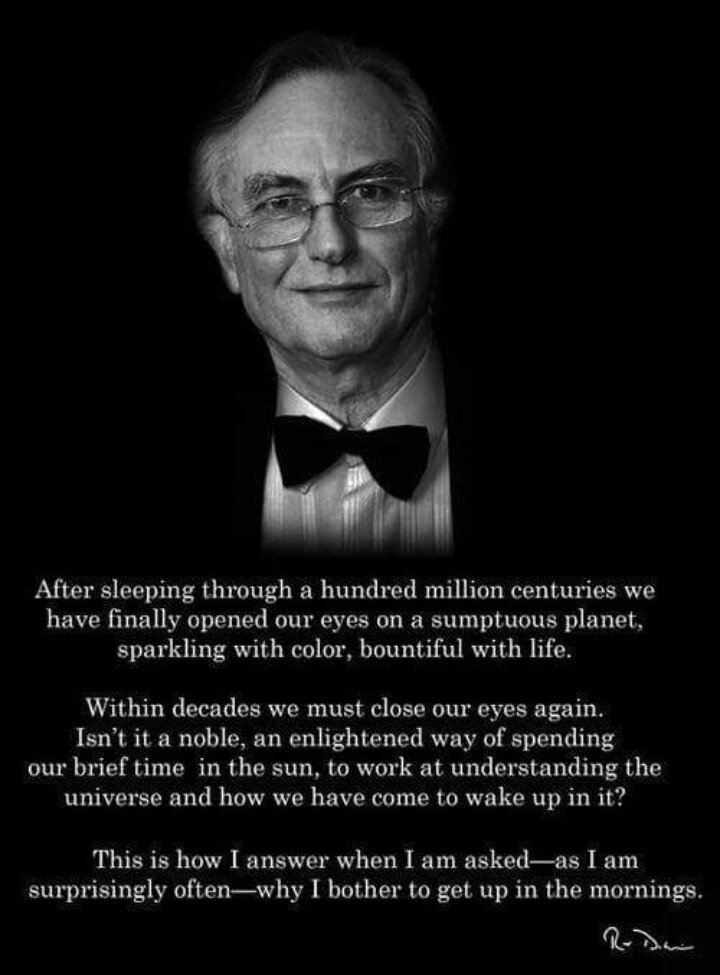 manuelph96ph's tweet photo. The feels... @RichardDawkins, the hero we need.
Science is the poetry of reality https://t.co/aMnekuCBrx