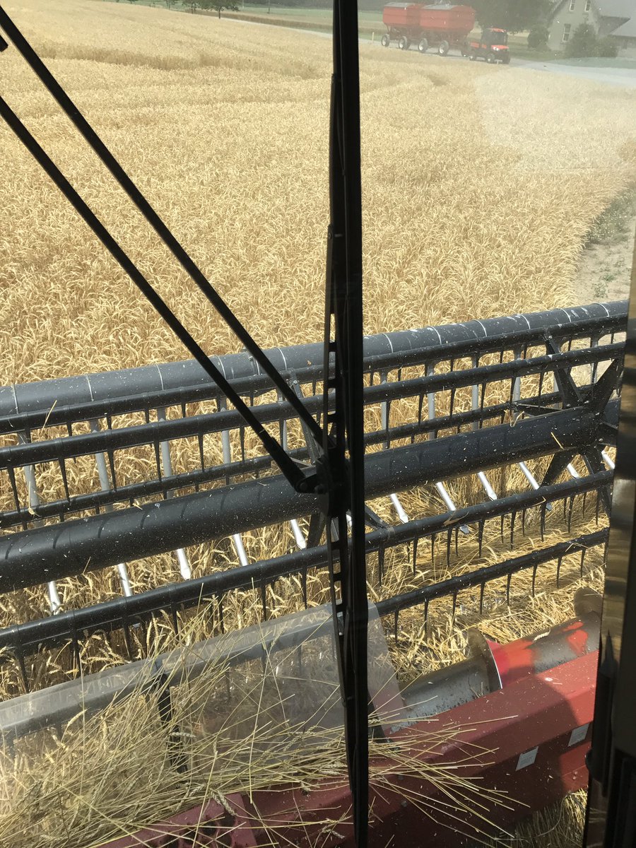 Took a little #wheat off today in Haldimand. Good yield and moisture. #ontag
