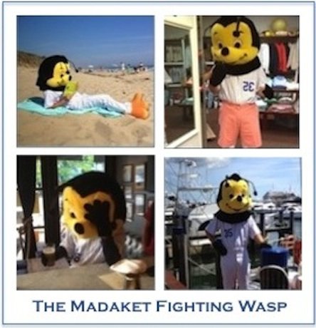 ACKBaseball's tweet image. The Madaket Fighting Wasp is missing. Last seen @ the Chicken Box wearing an ascot, blue blazer, white shoes &amp;amp; two blondes - one on each arm