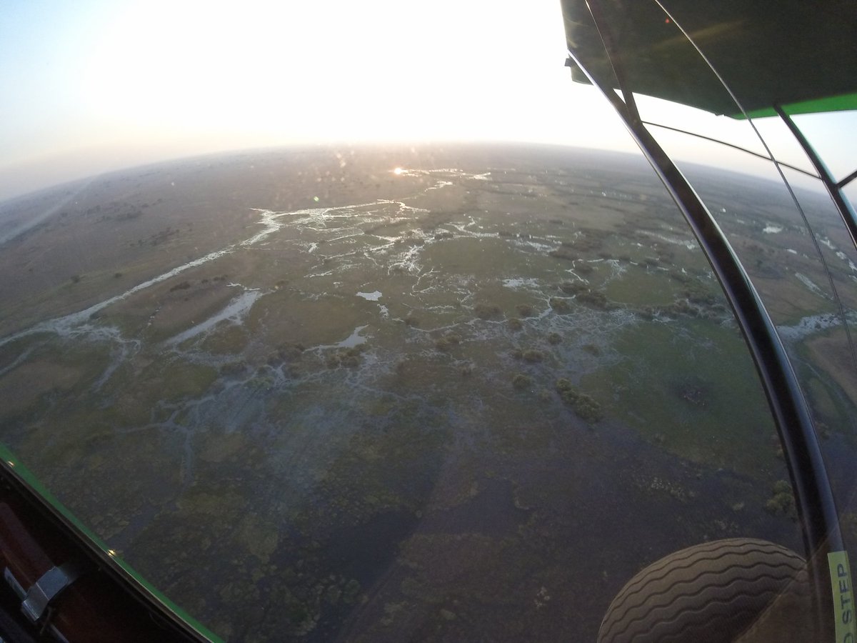 chipasha4's tweet photo. Busanga swamps #kafuenationalpark #Zambiatourism #Bathawkpilot #BushFlying... ππ https://t.co/7uuJABVNfs