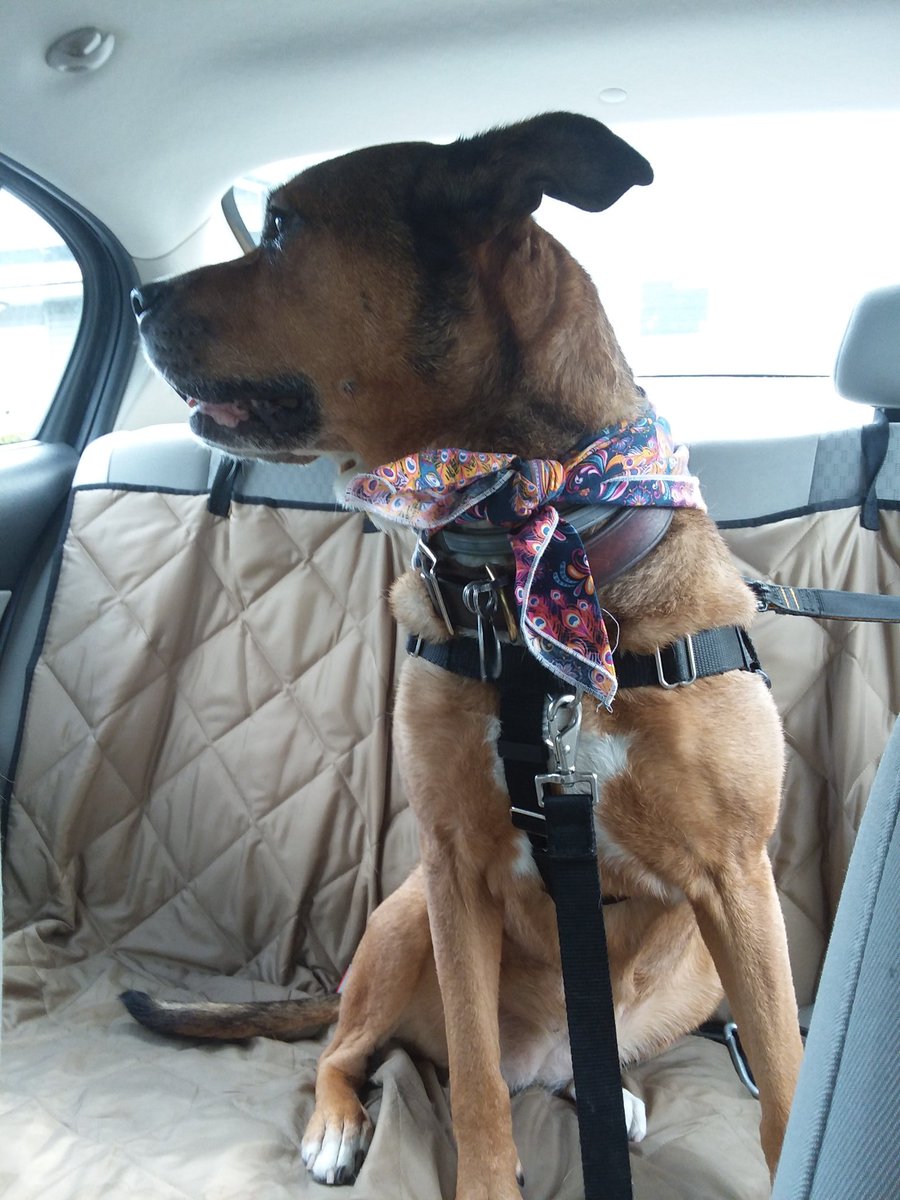 Guuyyyyssss, everyfing is woooozy