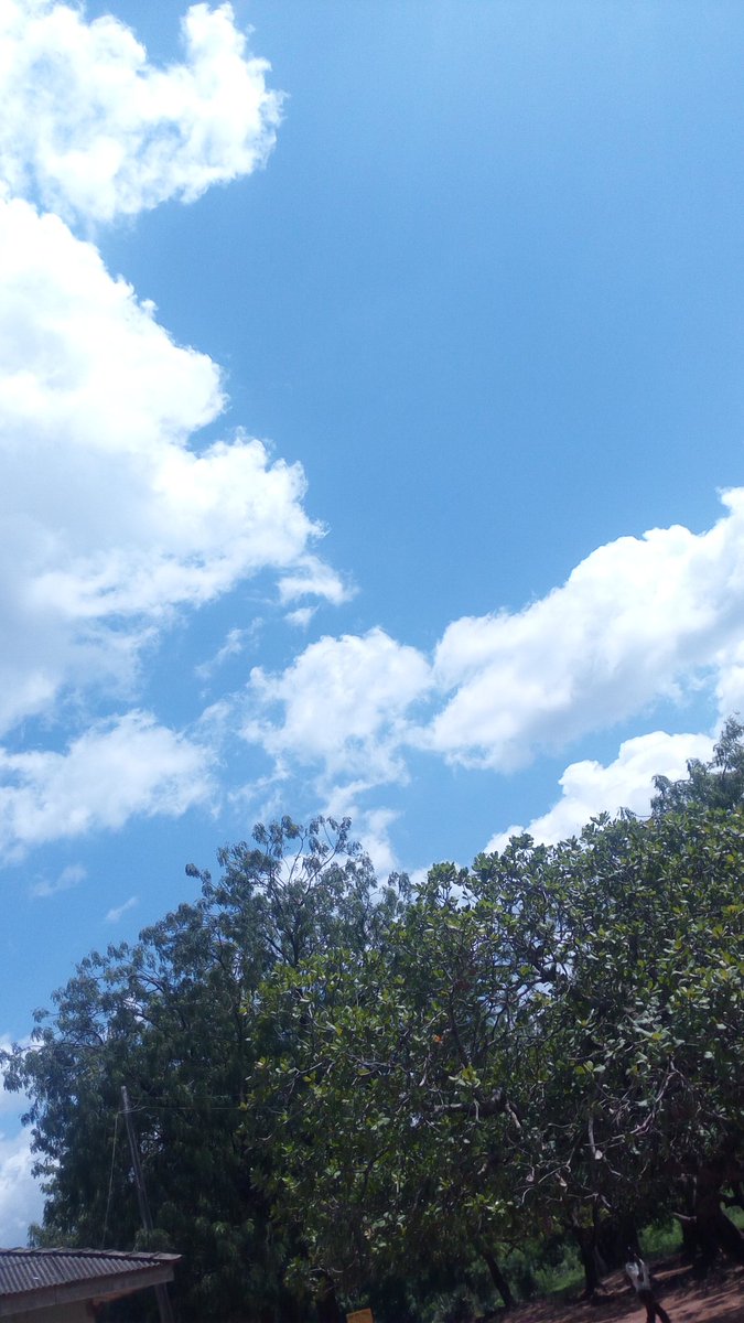 WanShyGirl's tweet image. Blue Skies and Greenery make the best backdrops 😍 #Nature #PhonePhotography #AndroidGram #NikonAfrica #NigerianBlogger #WanShyGirl