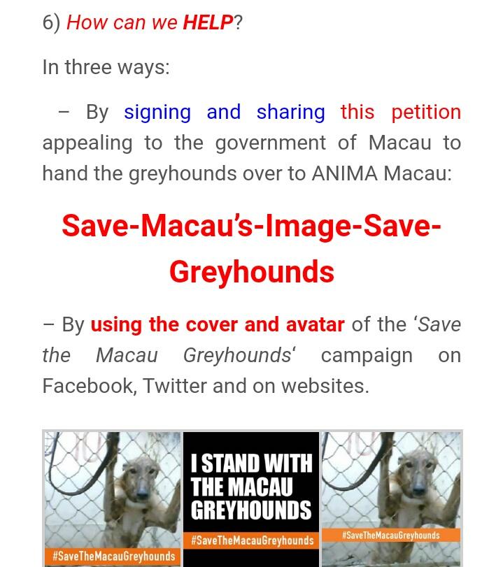 PetLevrieri's tweet photo. 📣#AnimalRights 📣#Ara #Advocates
➡Pls join the 🆕 campaign
To #SaveTheMacauGreyhounds
🔴#How2Help ⚠
https://t.co/RmPJGYNg5S https://t.co/oiOtYoalGe