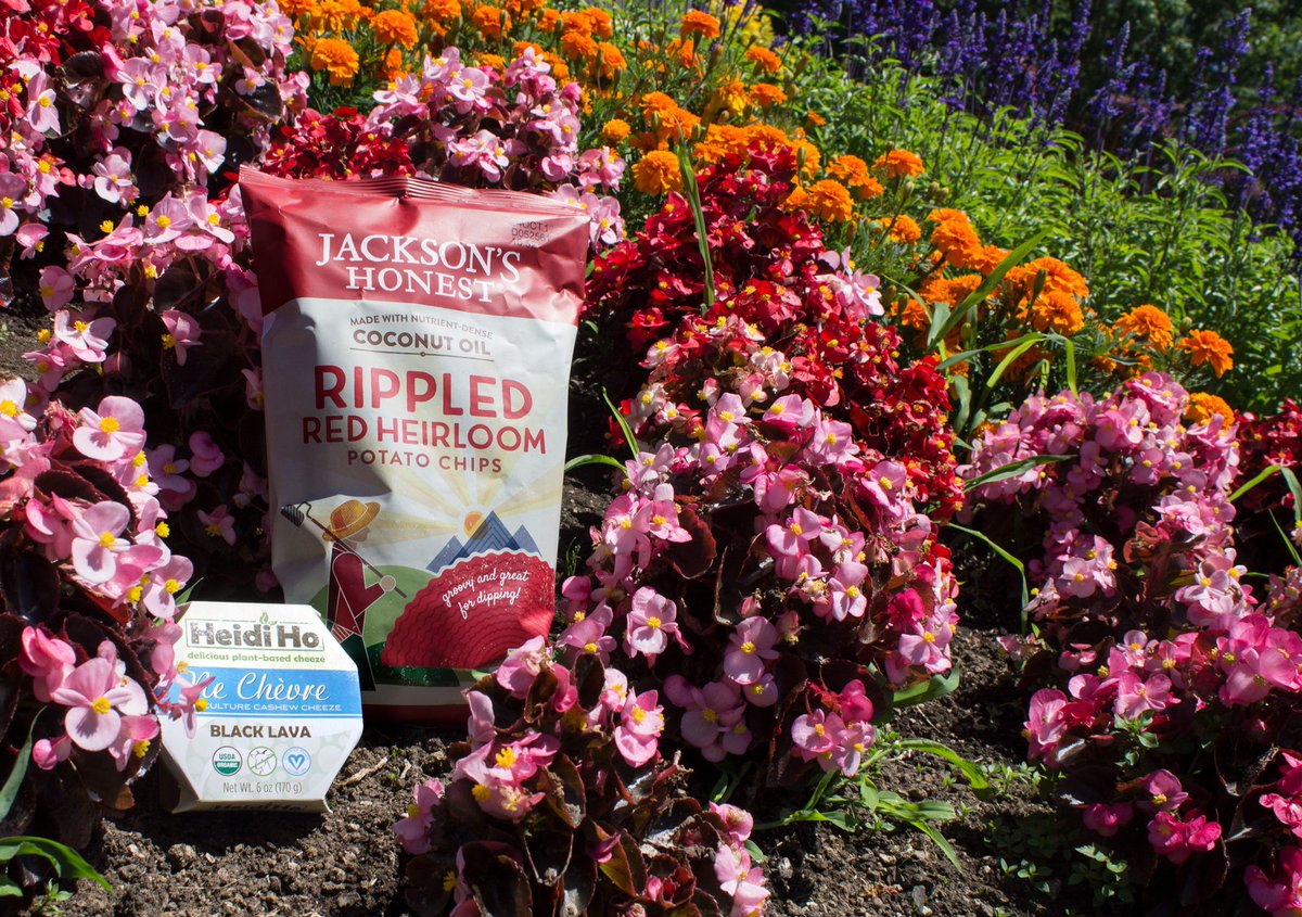 HeidiHoFoods's tweet photo. Summer lovin', had me a snack ❤️ Heidi Ho + @JacksonsHonest 4evr. https://t.co/cqYrU0dqpw #cheezysummer #snackoutside https://t.co/ibNarernMi