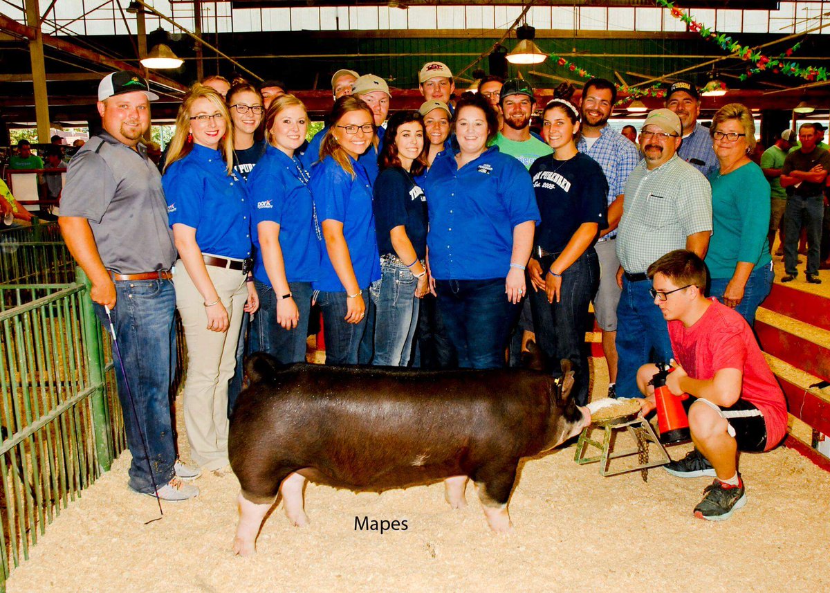 TeamPurebred's tweet image. Fiona: donated by @albrightswine . Purchased by Shaffer's Goldrush
THANK YOU!