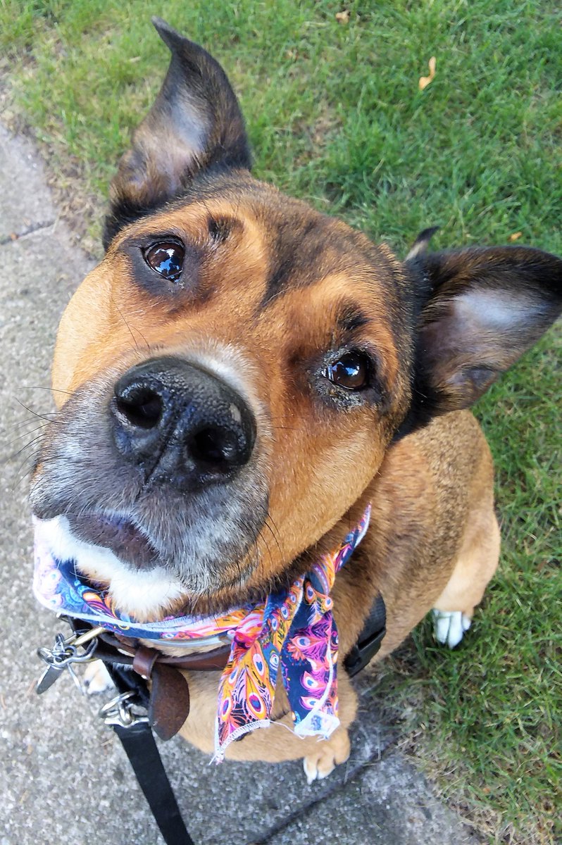 Finally home! Vet stole 1 lump from one eye, and 3 from the other!!