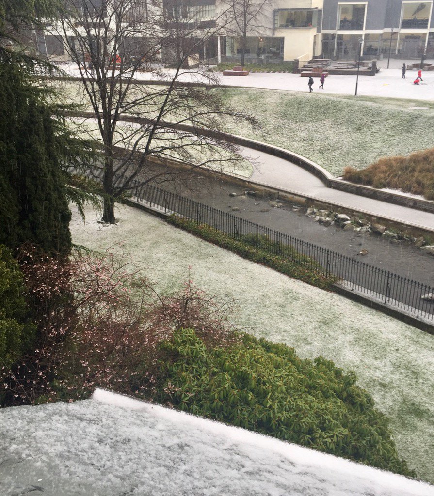 LindyGW's tweet photo. View from my office #DunnerStunner https://t.co/tsdZa9EJgS
