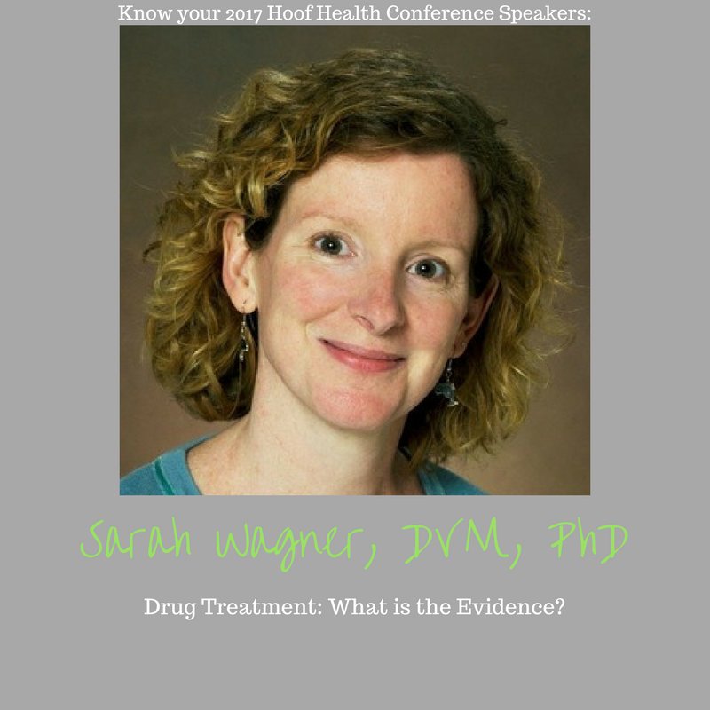 HoofTweeter's tweet photo. Dr. Sarah Wagner is a veterinary clinical pharmacologist &amp; professor focusing on improving livestock health https://t.co/7Ub5votT26 #HHC2017 https://t.co/M2p0rG4Rnv