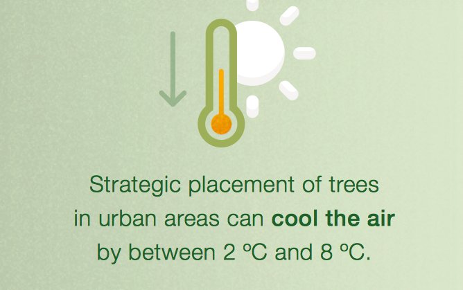 FAO Forestry tweet media