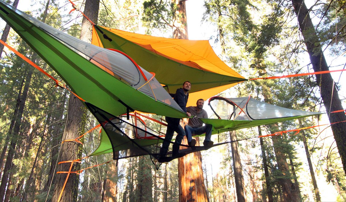 survivalized's tweet photo. Tree Tents
https://t.co/PFD3INZxjU https://t.co/WcOb2nD1Be