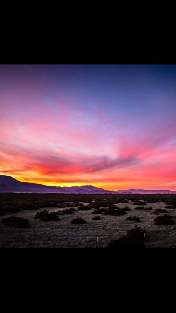 JohnMDouglass1's tweet image. Photo taken at #JoshuaTreeNationalPark #hiking