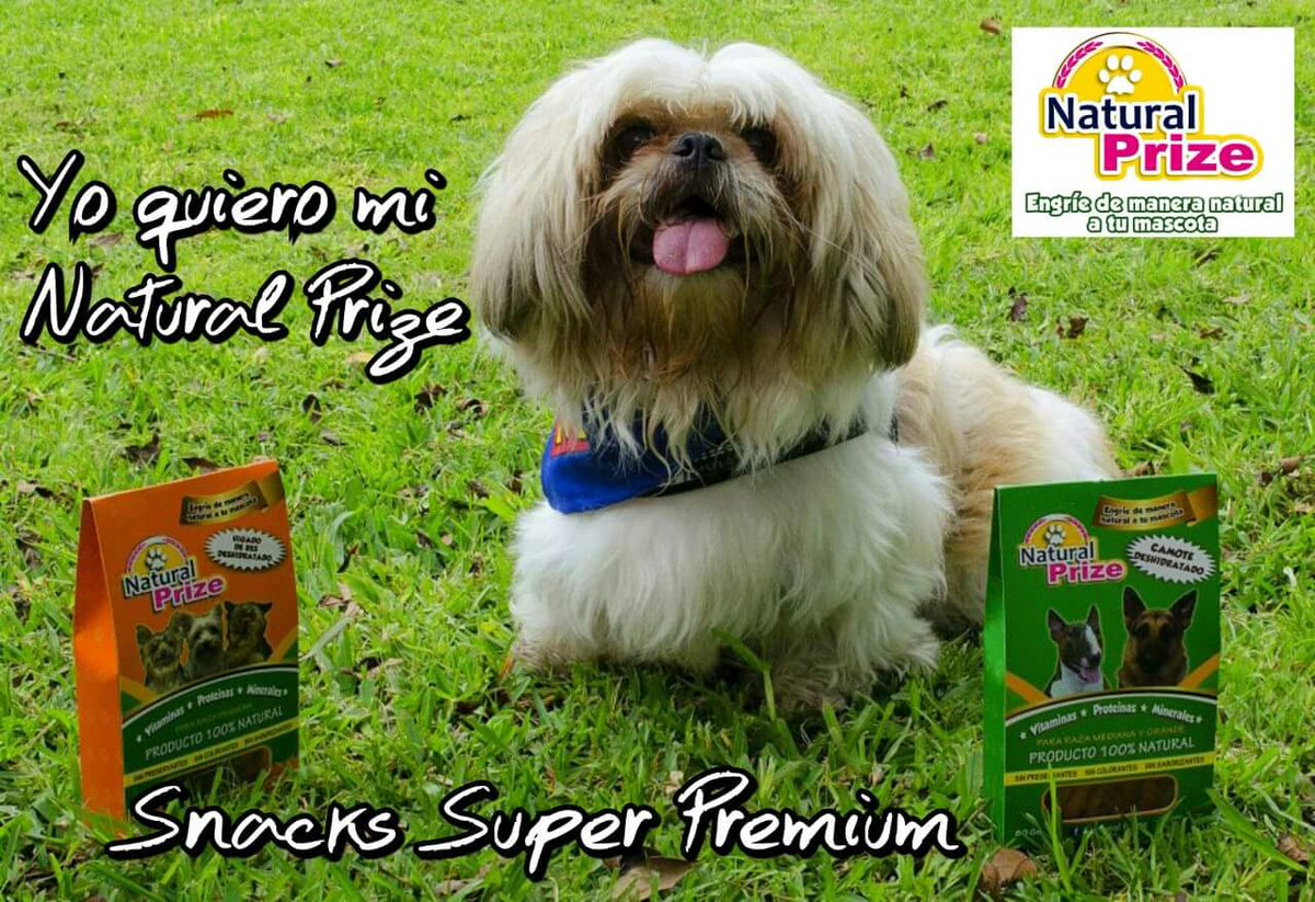 Natural_Prize's tweet photo. @Natural_Prize #SnacksPremium 100% naturales #Rico #treats #naturales #NaturalPrize β€οΈ #YoAmoAMiMascota π https://t.co/SrCF2mguOR