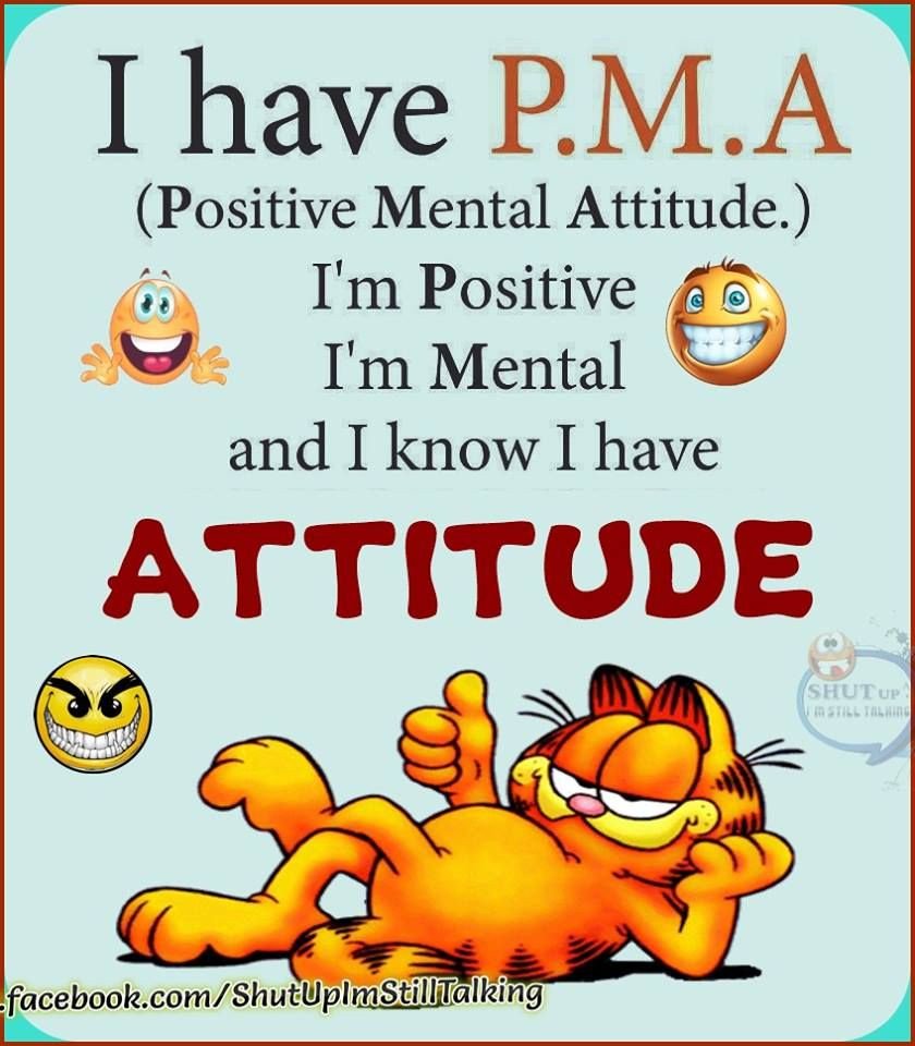 SuccesslifeSam's tweet photo. #successlife #week28 #garfield
I have #positive #mental #attitude

#quoteoftheday #quote 
#positivevibes #motivation 
#lifeisgood #bemore https://t.co/7TGb3UvtM5