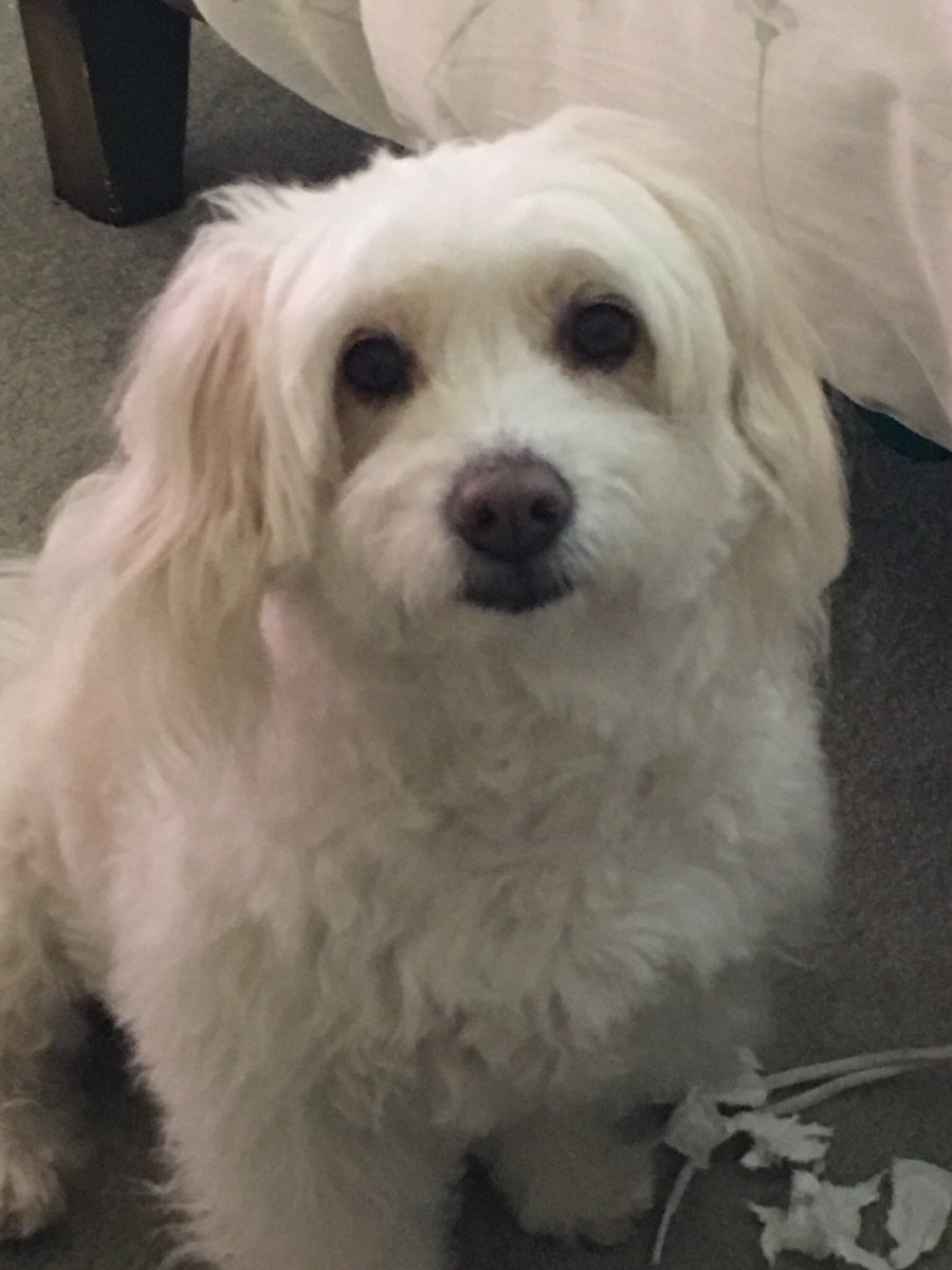 Regcas's tweet image. 