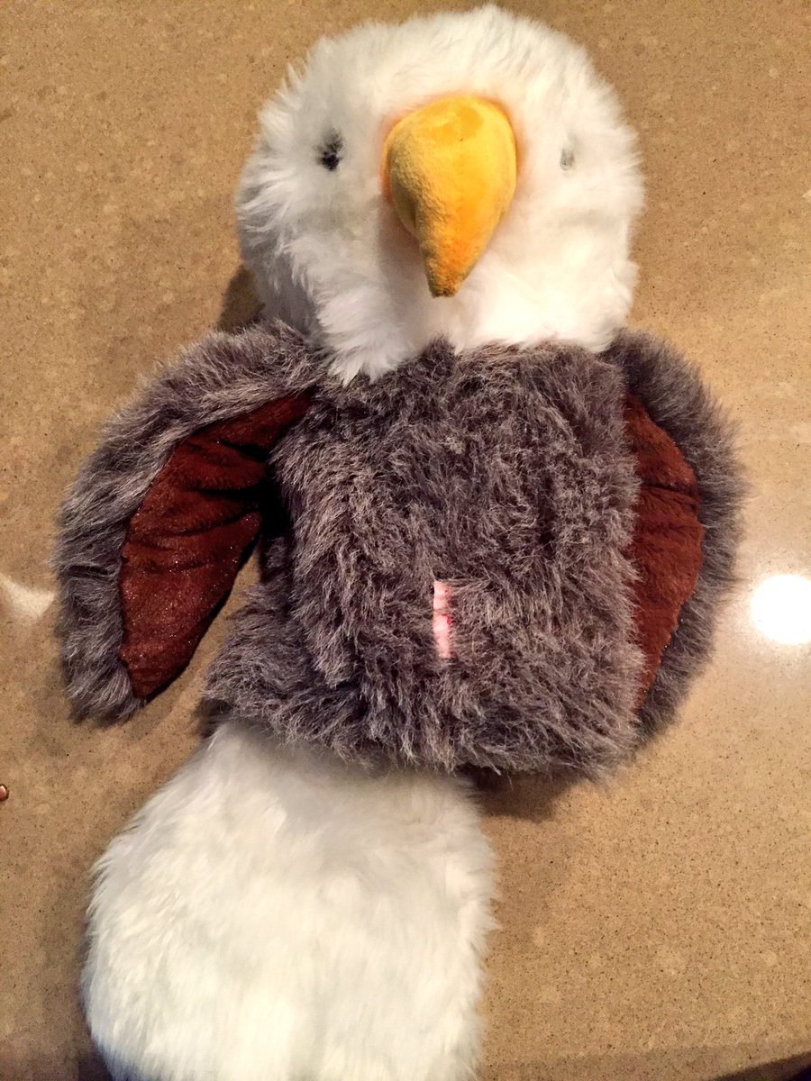 Breaking out the Eagle head covers for the upcoming season!
