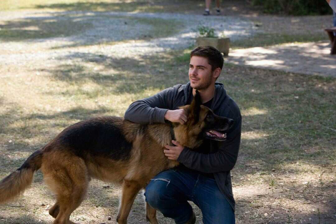 annylucard's tweet photo. Gosto de #UmHomemDeSorte por ter 2 assuntos que gosto de apreciar:cães e rapazes bonitos.Zeus e Logan são 2 fofuras! https://t.co/t9Ttg6e67v
