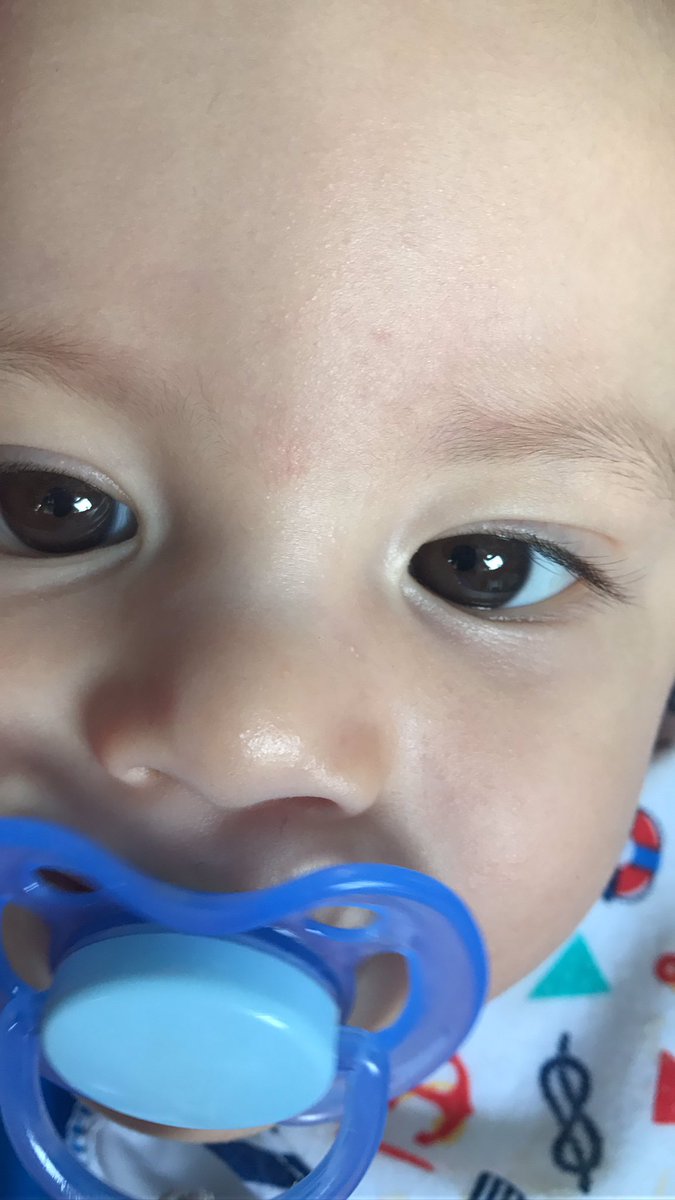 S_Desiree17's tweet photo. Este hermoso muñeco cumple sus 9 meses hoyyyyy 9 meses de puro amoorr TE AMO #kingseba #proudmommy https://t.co/bjOQfwIisQ