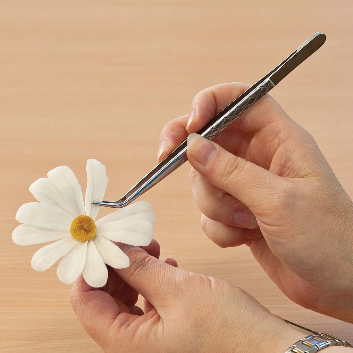 LOYAL Bakeware (LOYALBakeware) Twitter