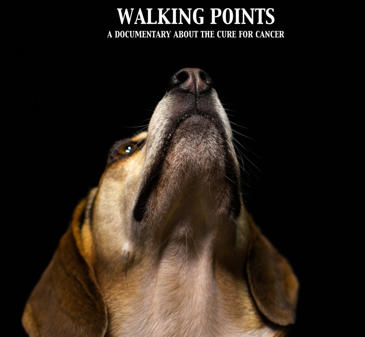 DorianHess's tweet photo. @dog_feelings I'm hosting #WalkingPointsDoc about #cancer sniffing #dogs on 7/31 at Laemmle Music Hall BevHills! 
https://t.co/EG5mGOed41 https://t.co/eUt817eTHj