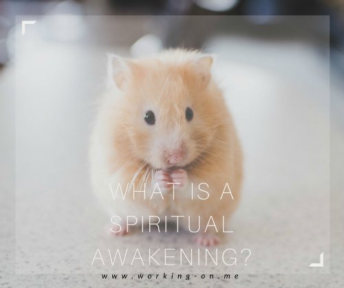 What Is a Spiritual Awakening? - dld.bz/fU4p2