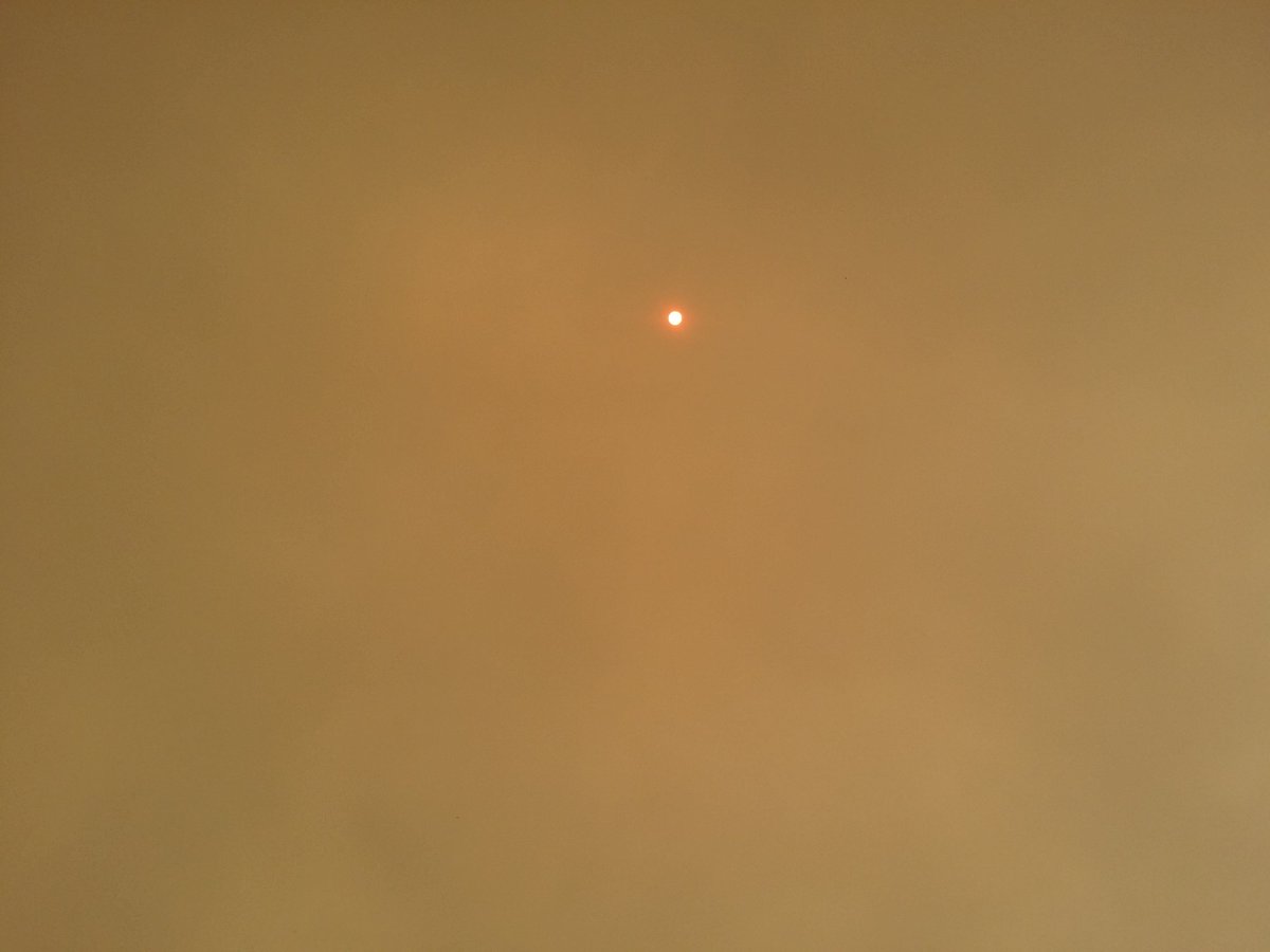 SpaceCoastSkies's tweet photo. I noticed it was a different shade of gold being cast out around 3p today, came out to see this #RiversEdgeFire #Titusville #Brushfire #flwx https://t.co/hCjX3Y5cJy