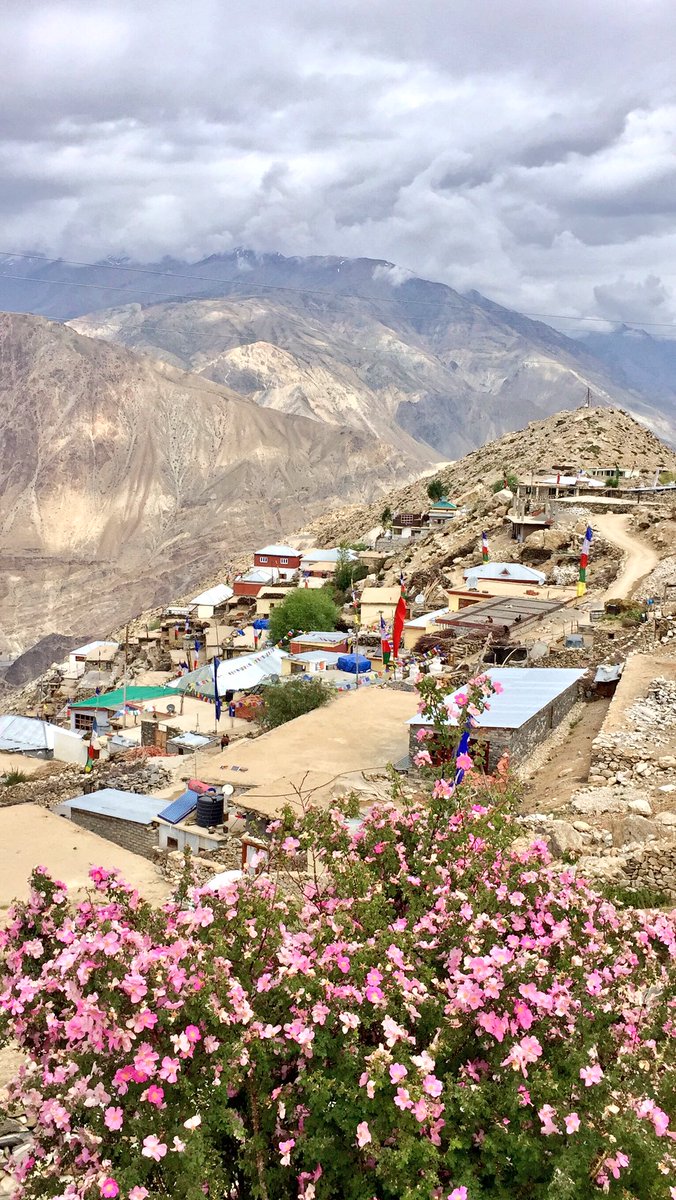 Wildlywise's tweet photo. Departure from amazing #Nako #Himachal #roadtrip #HighwayHaseena https://t.co/aEEgtwOoBo