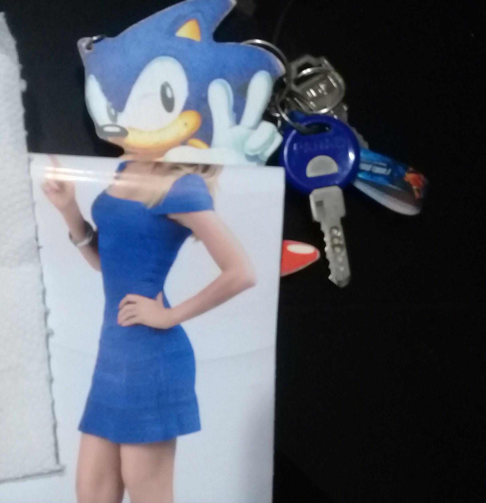 sonia the hedgehog plush