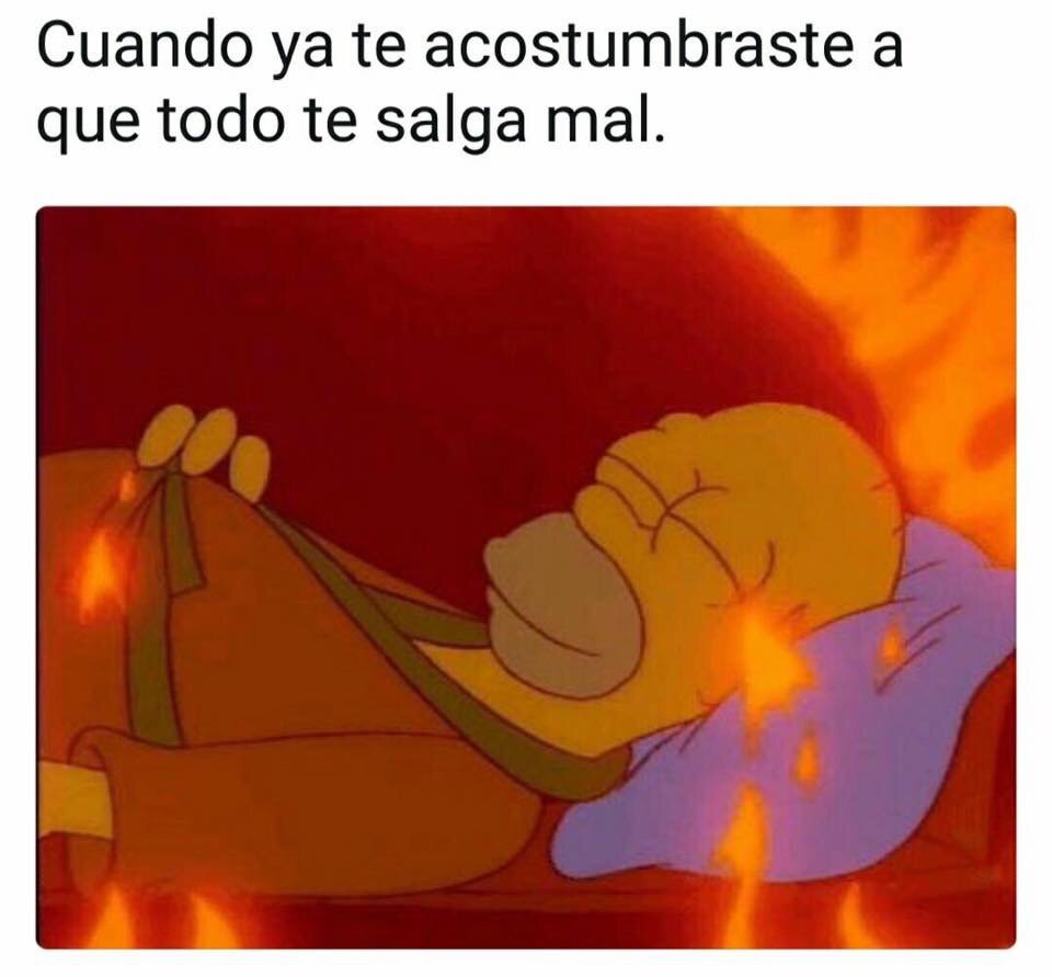 EIMexicano's tweet photo. Esta vida me encanta❤️:Vvv https://t.co/ko10pgoiW6
